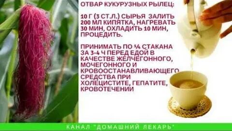 Настой кукурузных рылец
