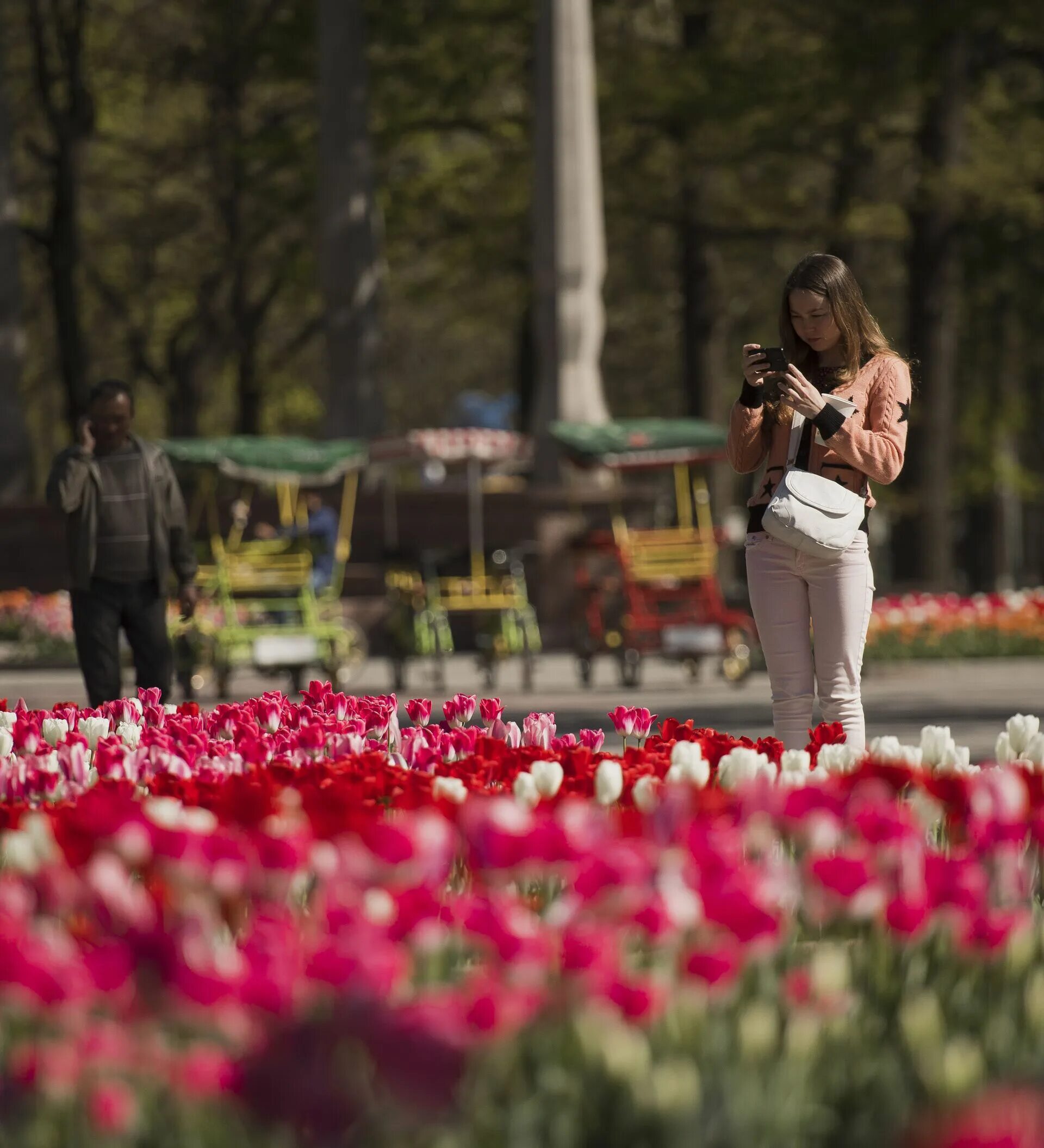 Брюнетка с тюльпанами. Сфотографироваться с тюльпанами. Девушка на клумбе с тюльпанами. Девушка с тюльпанами на улице. Фото с тюльпанами на улице