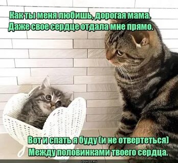 Не отвертишься