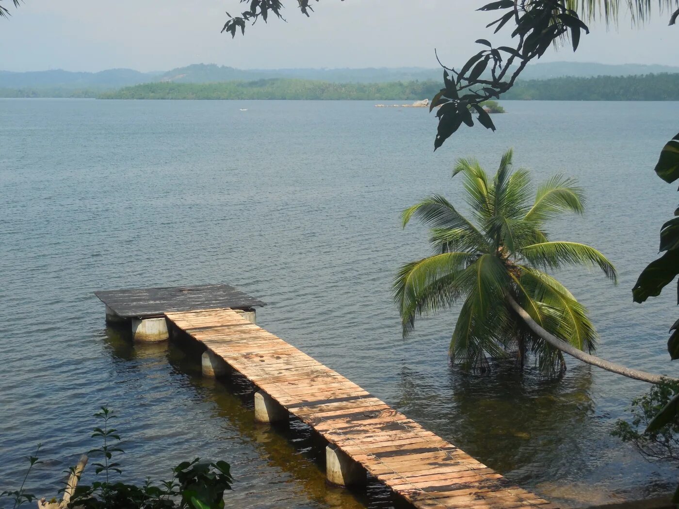 Озеро Коггала. Шри-Ланка, Коггала, Когалла. Коггала Лагуна. Озеро Коггала сафари.