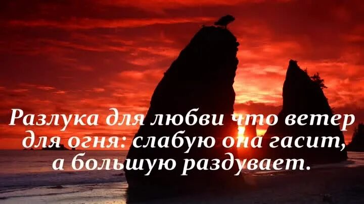 Фраз признания. Красивые слова о любви. Слова любви любимому. Афоризмы в признание в любви. Мудрые признания в любви.