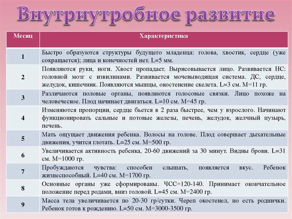 Особенности внутриутробного развития человека