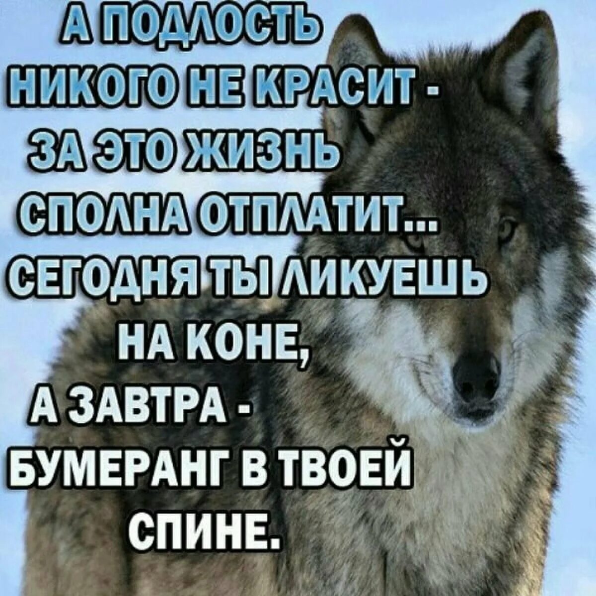 Твой позвоночник единственный. Твоя спина. Единственное что тебя поддерживает это твой позвоночник. Изгиб спины 45 градусов у девушек. Если говорят за спиной значит ты впроед.