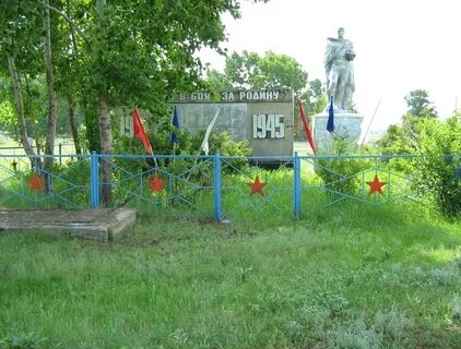 Погода зыково панкрушихинский рп5
