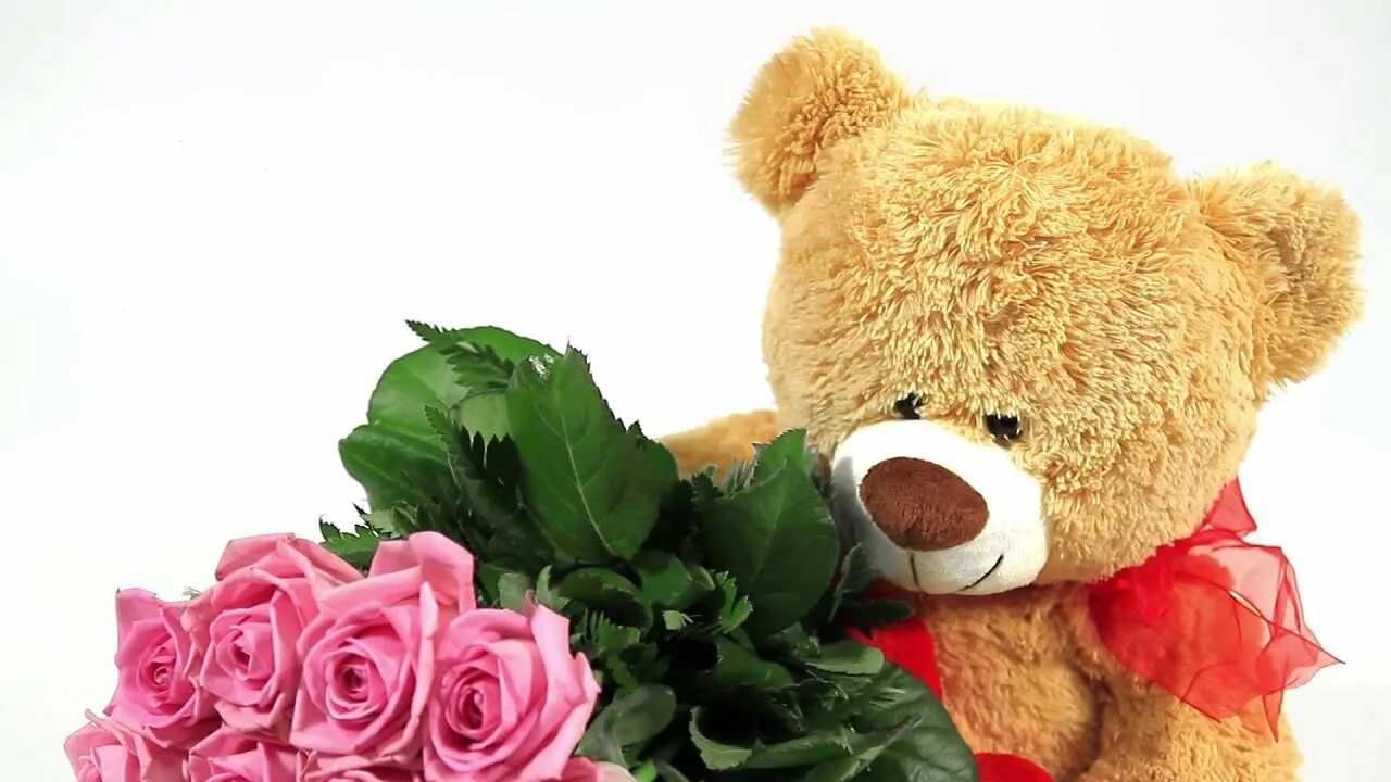 Поздравления с днём рождения девочке. Медвежонок с букетом цветов. С днём рождения милые. С днём рождения медвежонок. Плюшевый мишка.