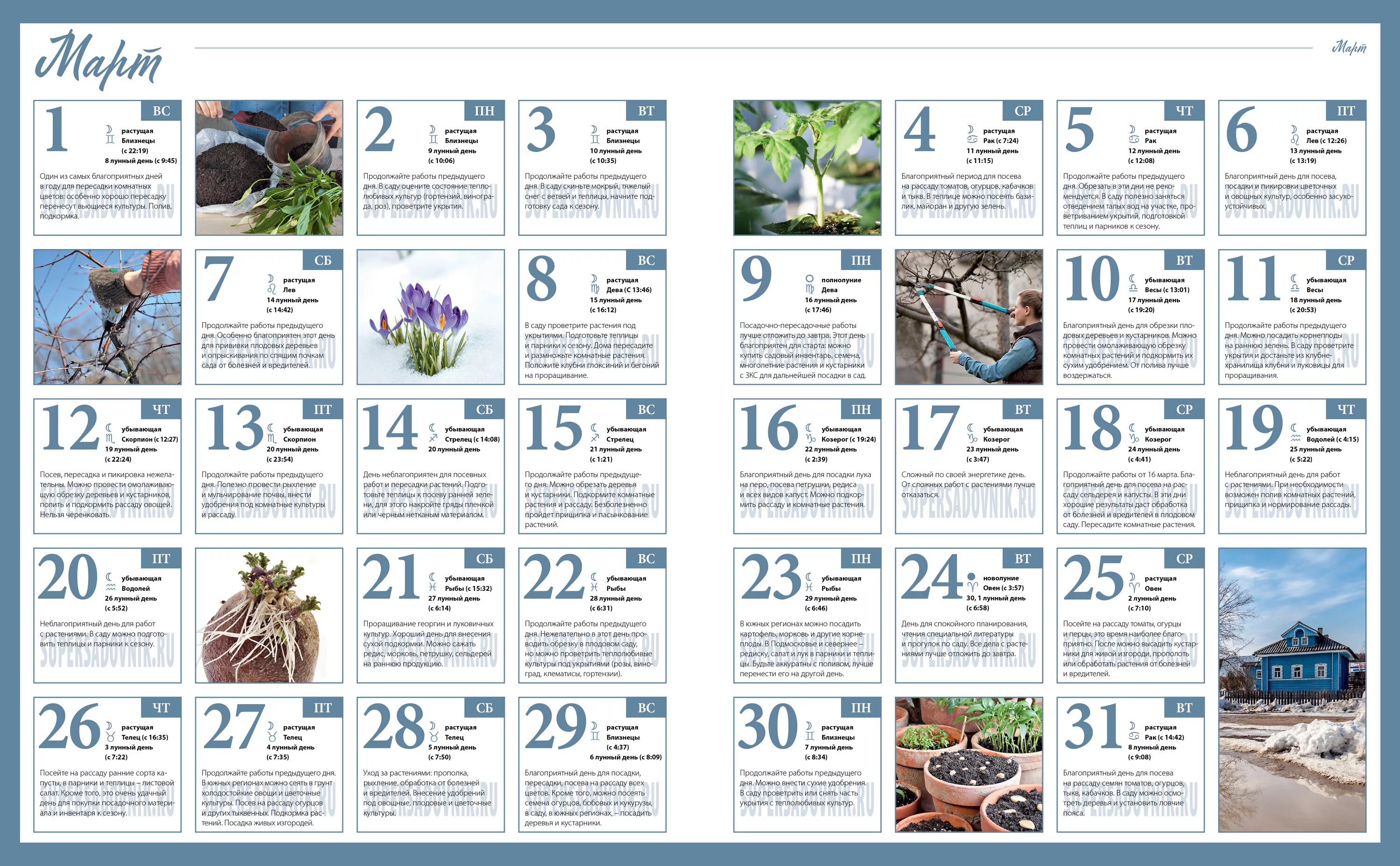 Лунный календарь садовода огородника март 24 года. Посевной календарь на март 2020. Лунный календарь садовода. Март календарь дачника. Календарь садовода и огородника на март.