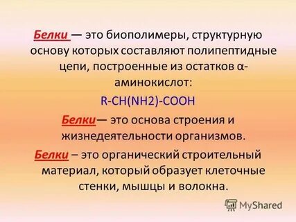 Регулярные и нерегулярные биополимеры примеры