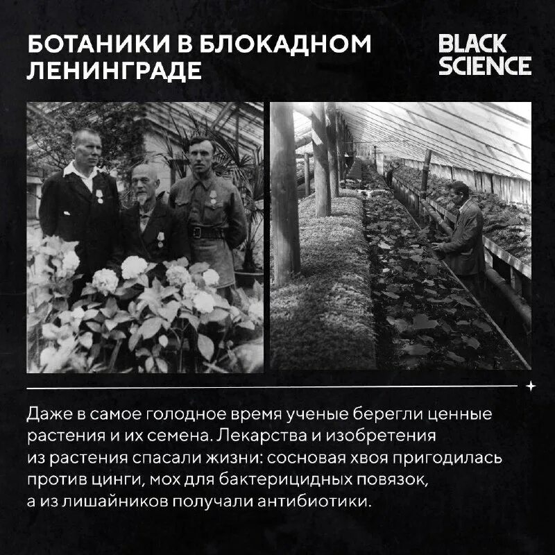 альберт сабин. результаты работы ученых спасают миллионы жизней. испанка эпидемия 1918 в россии. результаты работы ученых спасают миллионы жизней. результаты работы ученых спасают миллионы жизней.