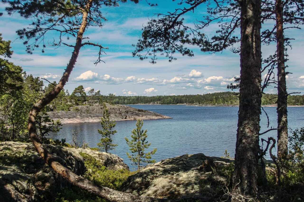 залив ладожского озера кирьявалахти. ладожские шхеры кильпола. ладожские шхеры сортавала. ладожские заливы. кирьявалахти, “карельскими фьордами”.