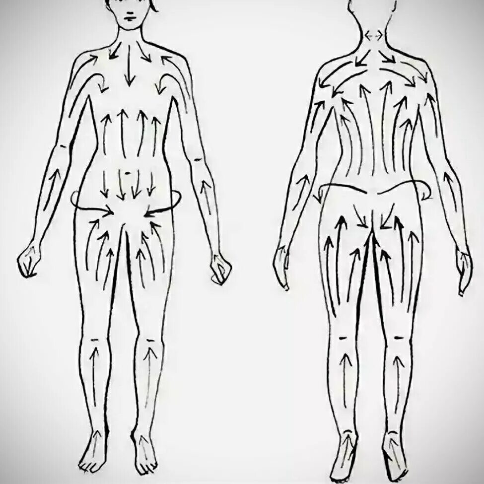 Направление массажных движений при массаже. Лимфатическая система массажные линии тела. Линии лимфотока на теле для сухого массажа. Схема движения лимфы в организме для массажа. Массажные линии тела схема лимфа.