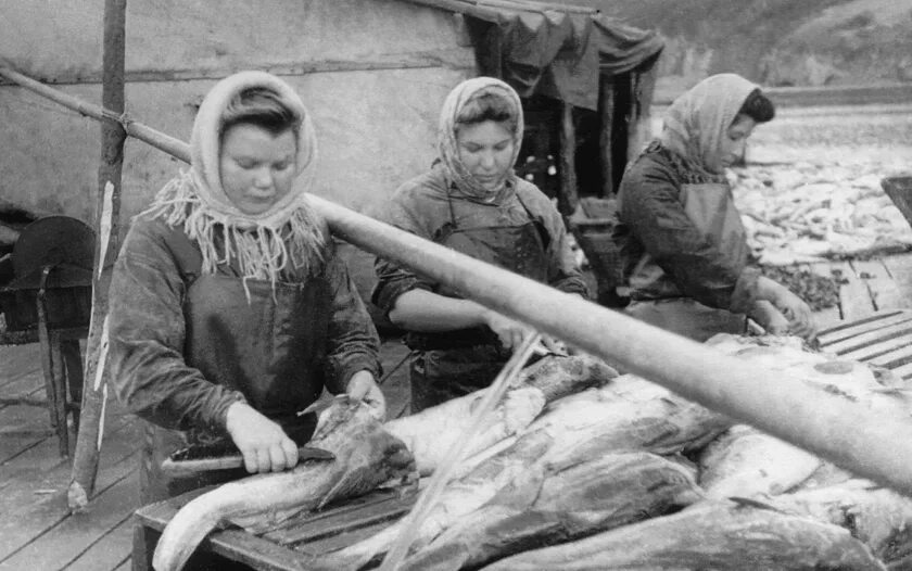 подвоз боеприпасов ж. в годы вов югорчане сплотились и отправляли. люди в тылу 1941. рыбодобывающие артели хмао в годы войны. салехард в годы войны.