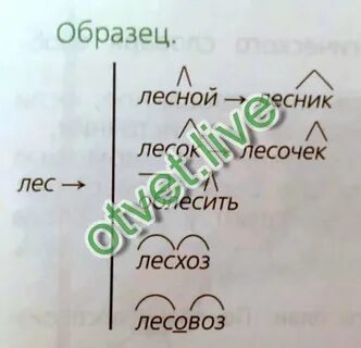 Суффикс в слове лес