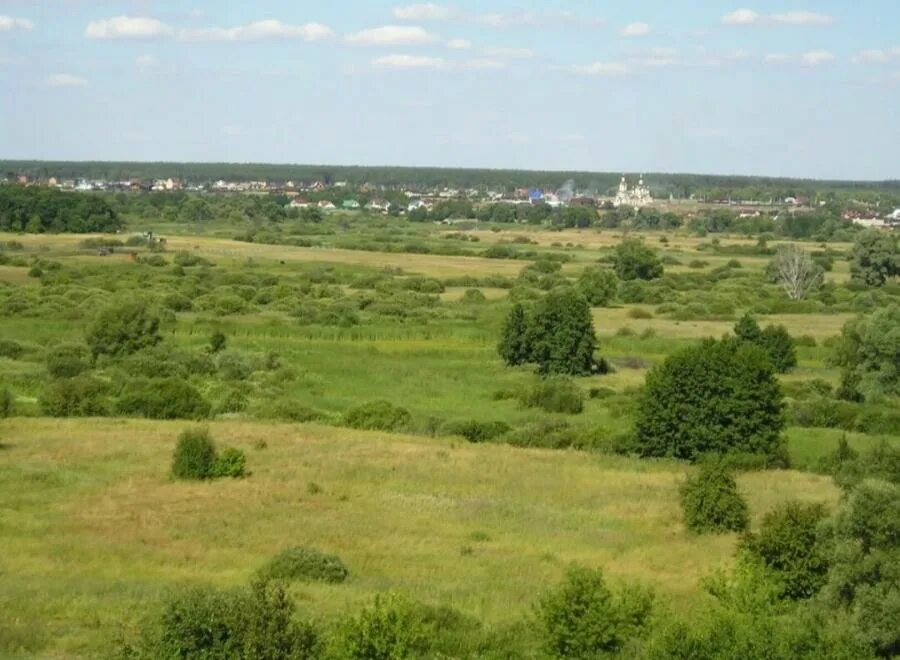 Село Нелжа Воронежская область. Воронежская область, Рамонский р-н, с. Нелжа. Нелжа Воронеж река. Нелжа деревня Рамонский район Воронежская. Индекс рамонского района воронежской области