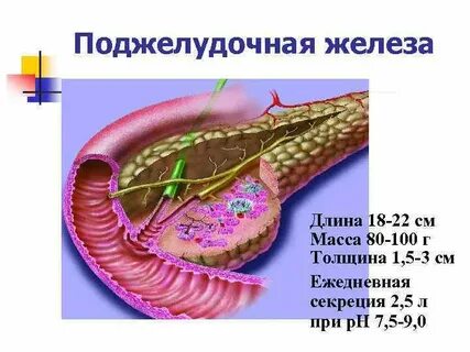 Длина железа