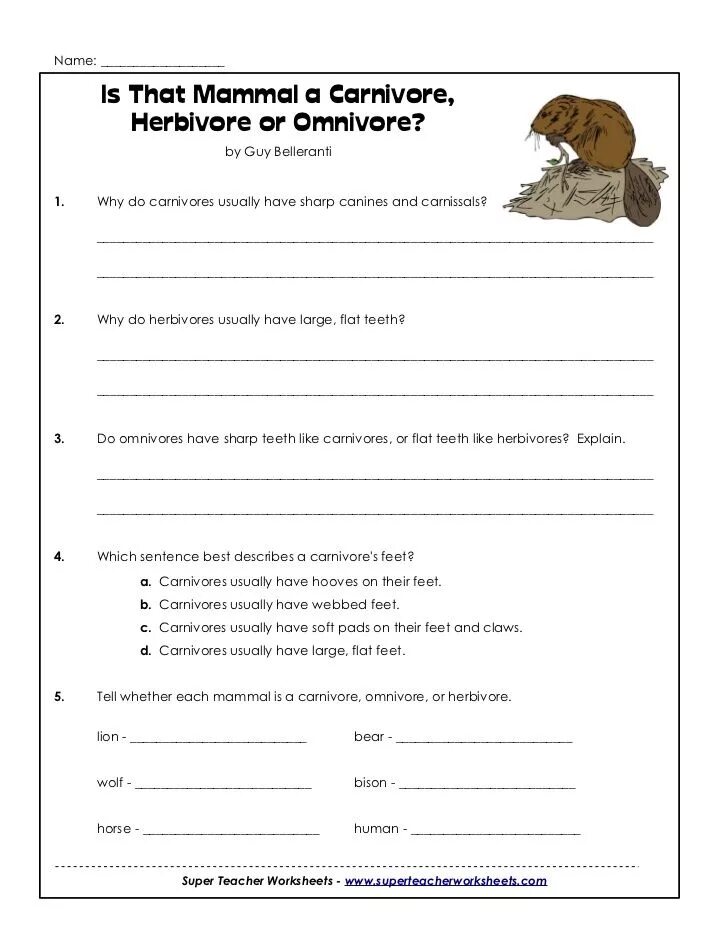 Carnivore перевод. Carnivore Herbivore. Herbivore Carnivore Omnivore. Herbivores and Carnivores Worksheet for Kids. Animals Worksheets Omnivore Carnivore.