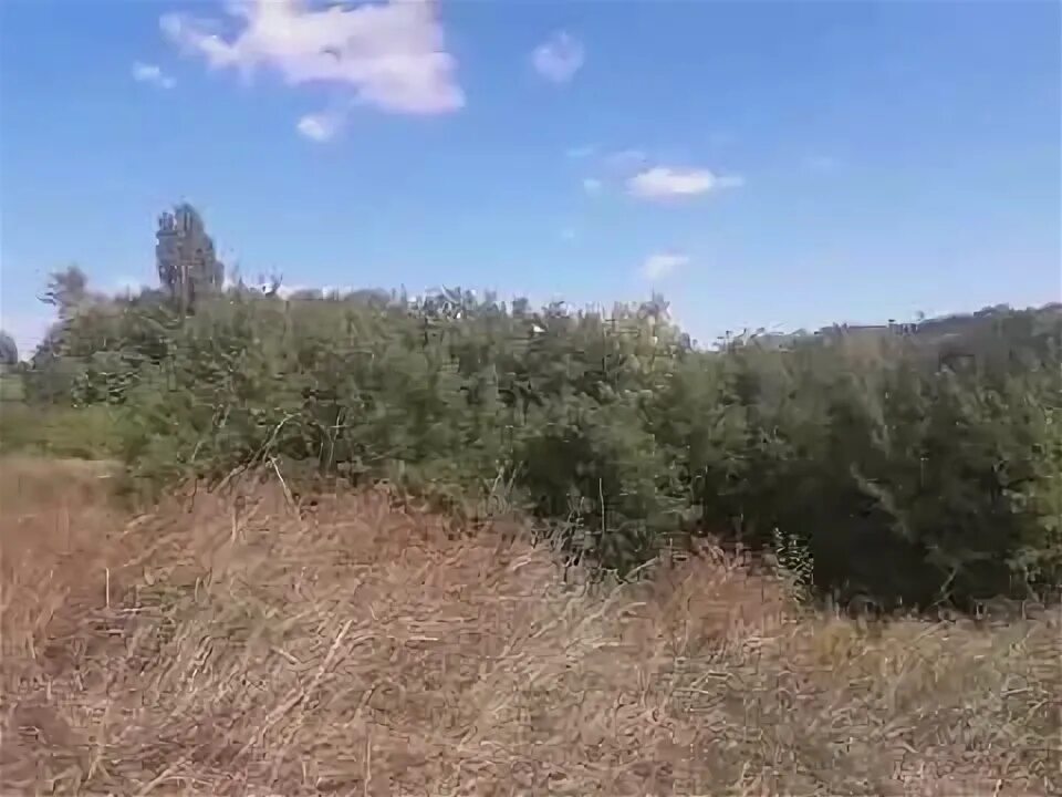 Андрей ерёмин миротворец. Миротворец 80. Миротворец 80. Миротворец 80. Бтр-80а.