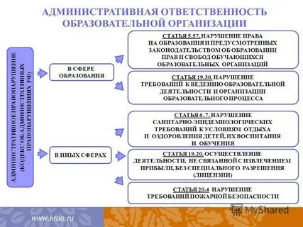 Способ образования и правовое положение высших