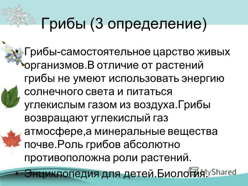 Гриб. Грибы: съедобные и несъедобные. Грибыэ́что такое грибы. Грибы определение. Тема грибов для презентации.