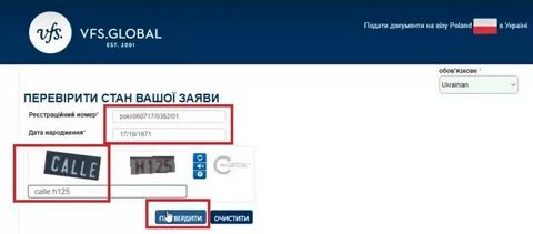 Vfs global франция