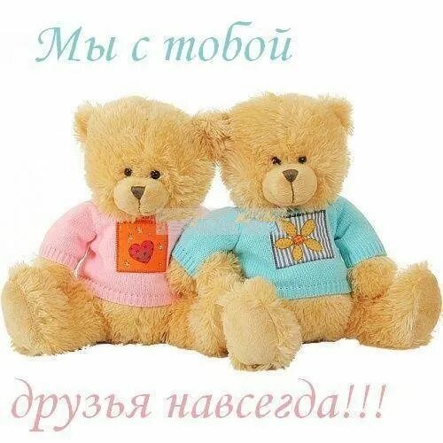 Друг навеки песня. Картинки мы друзья навсегда. Текс песни друзья на всегда. Друзья навеки. Дружба на века.