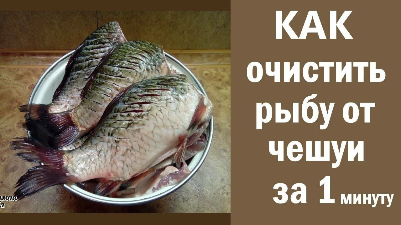 Как чистить речную рыбу. Как очистить рыбу. чистка рыбы. как быстро очистить рыбу. как очистить рыбу от чешуи.