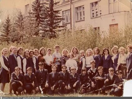 Школа 438 лисий
