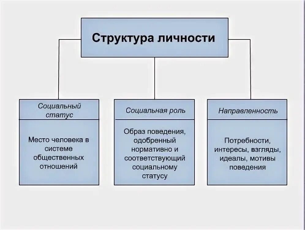 Общую структуру личности. Компоненты структуры личности. из каких элементов состоит структура личности 10 класс. компоненты, входящие в структуру личности. схематичная структура личности.