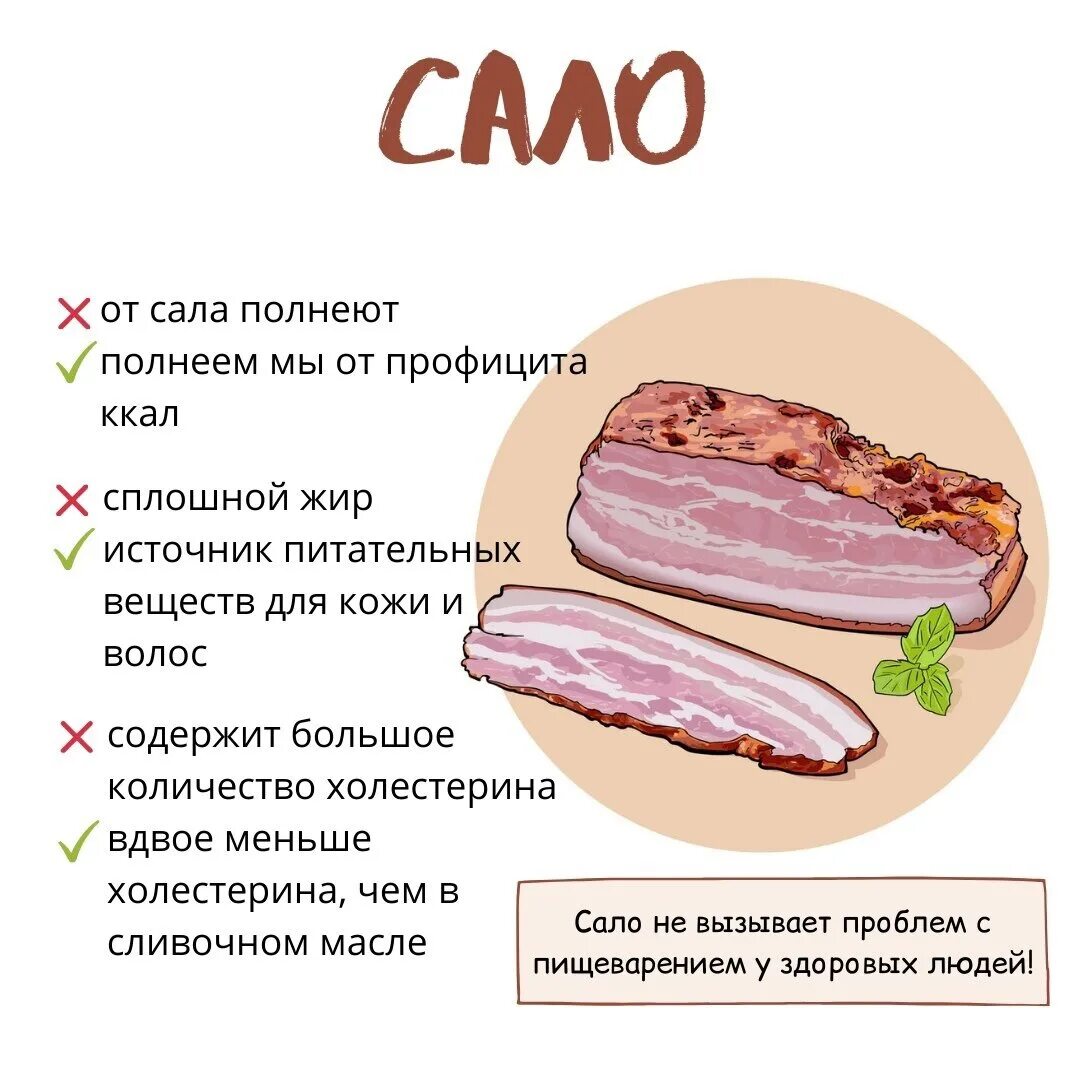 Мифы про сало. Интересные факты про сало. Факты о Сале. Поправляются ли от сала. Сколько можно съесть сало