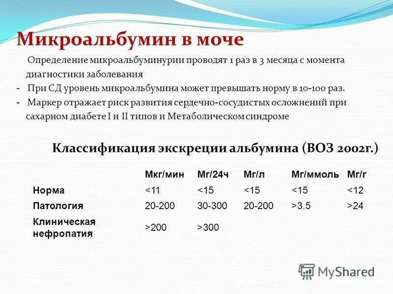 Микроальбумин в моче как сдавать