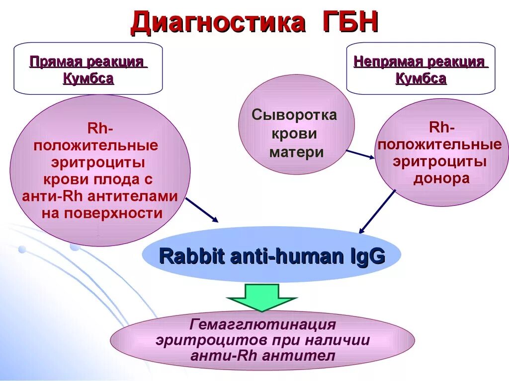 Анемическая форма гемолитической болезни новорожденных лечение. Пример формулировки диагноза гемолитической болезни новорожденных. Критерии диагностики гбн. Постнатальная диагностика гемолитической болезни новорожденных. Гемолитическая болезнь новорожденного диагностика.