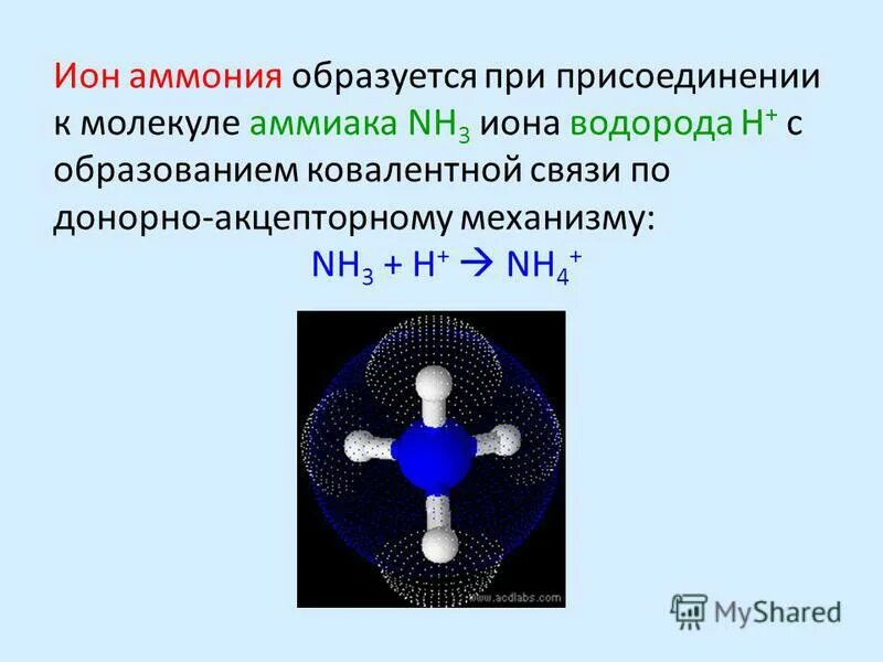 Хлорид аммония химические свойства. Механизм образования Иона аммония nh4 +. Хлорид аммония строение молекулы. Хлорид аммония кристаллическая решетка.