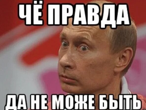 ковальски шкипер рико аниме. рико из мадагаскара хуманизация. загнанных лошадей пристреливают не правда ли хорас маккой. мемы про джастина бибера. логично.