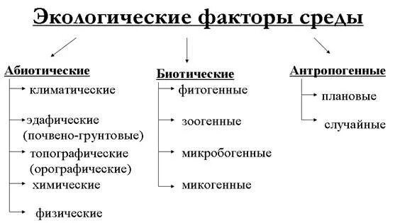 Какой фактор можно отнести к абиотическим