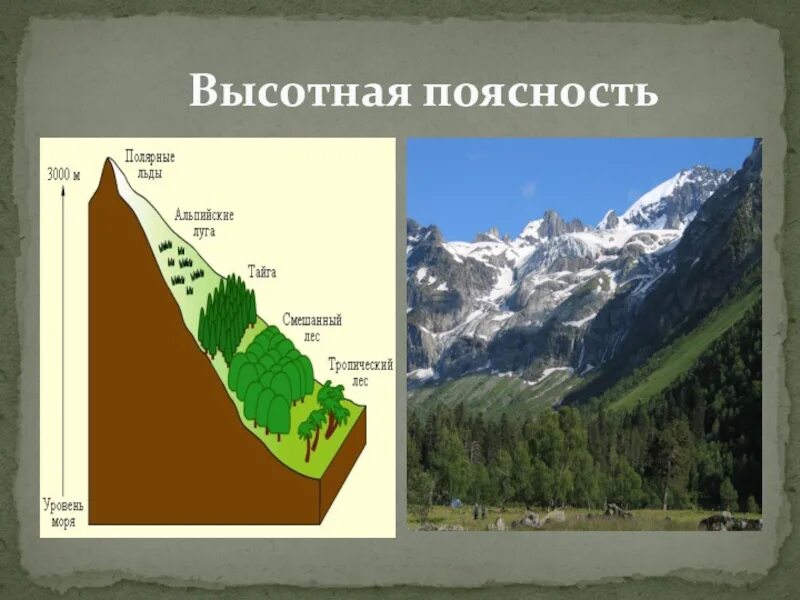Природные зоны ВЫСОТНОЙ поясности. Зоны ВЫСОТНОЙ поясности в России. Высотная поясность это в географии 7 класс. Природные зоны России Высотная поясность.