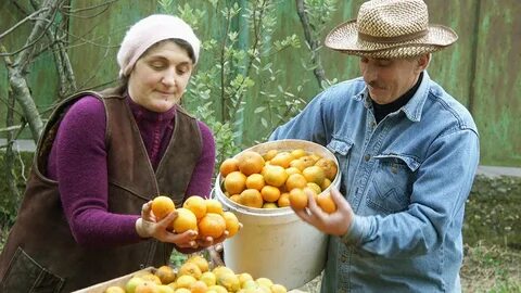 Сельское хозяйство грузии