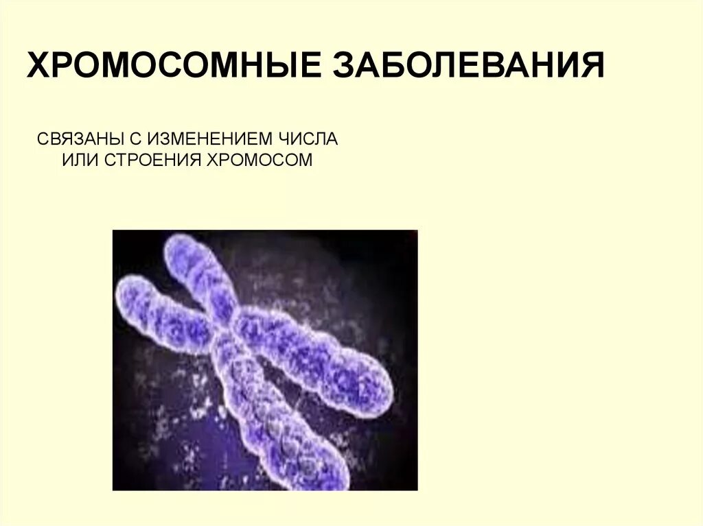 2 хромосома нарушения. Хромосомные нарушения. Наследственные заболевания человека. Болезни связанные с хромосомами.