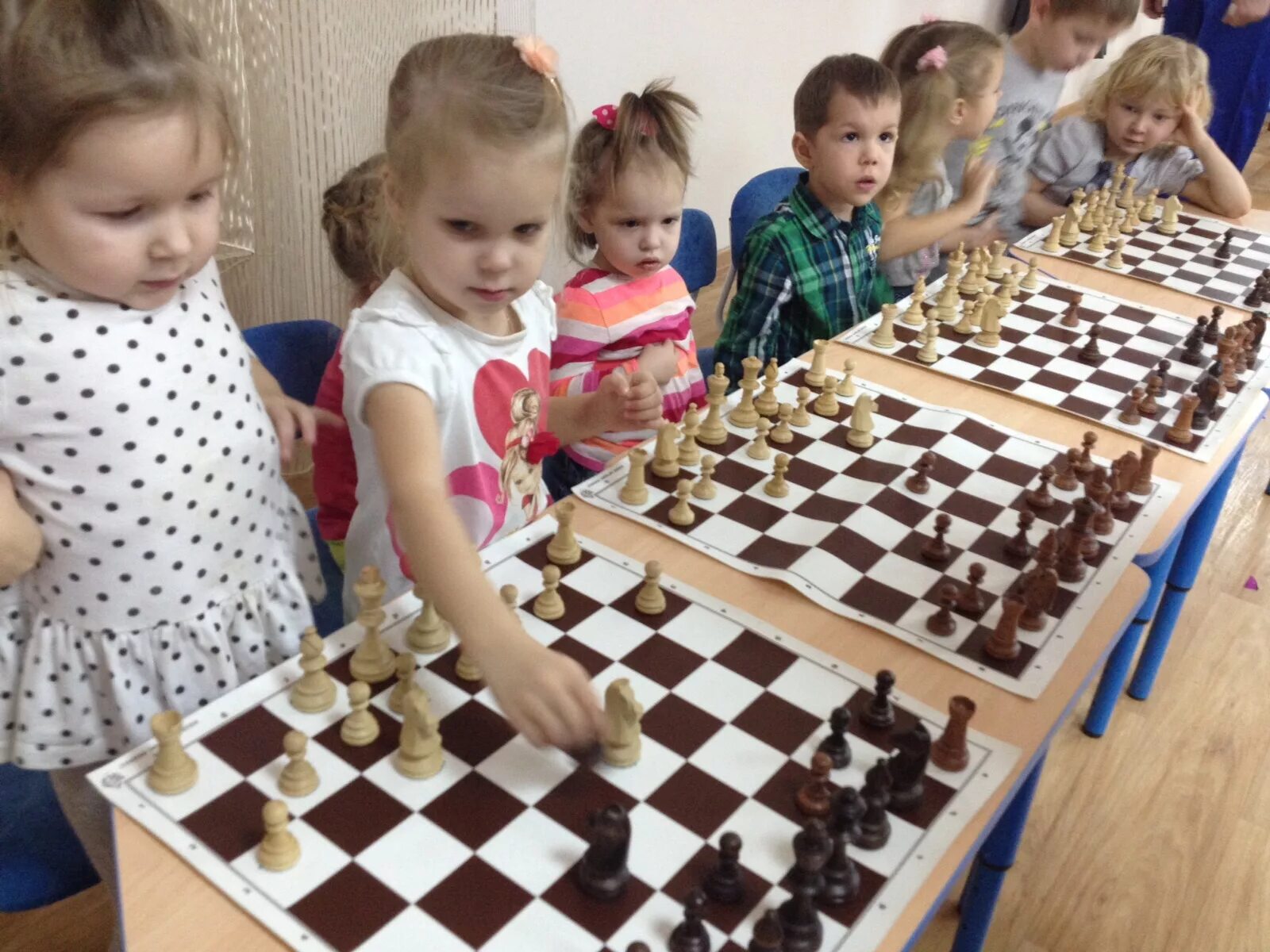шахматы для детей. шахматы для детей. кружок по шахматам в школе. секция шахматы для детей. дети кружки шахматы.