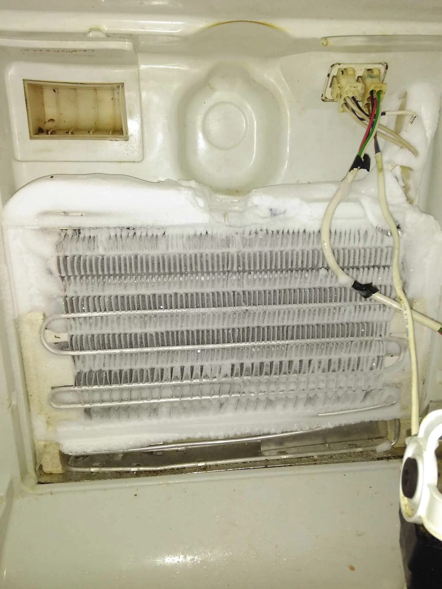 Причины сильно морозит. Холодильник Индезит двухкамерный ноу Фрост. Холодильник Daewoo fr 415 испаритель. Вентилятор для холодильника Индезит ноу Фрост. Датчик Индезит ноу Фрост.