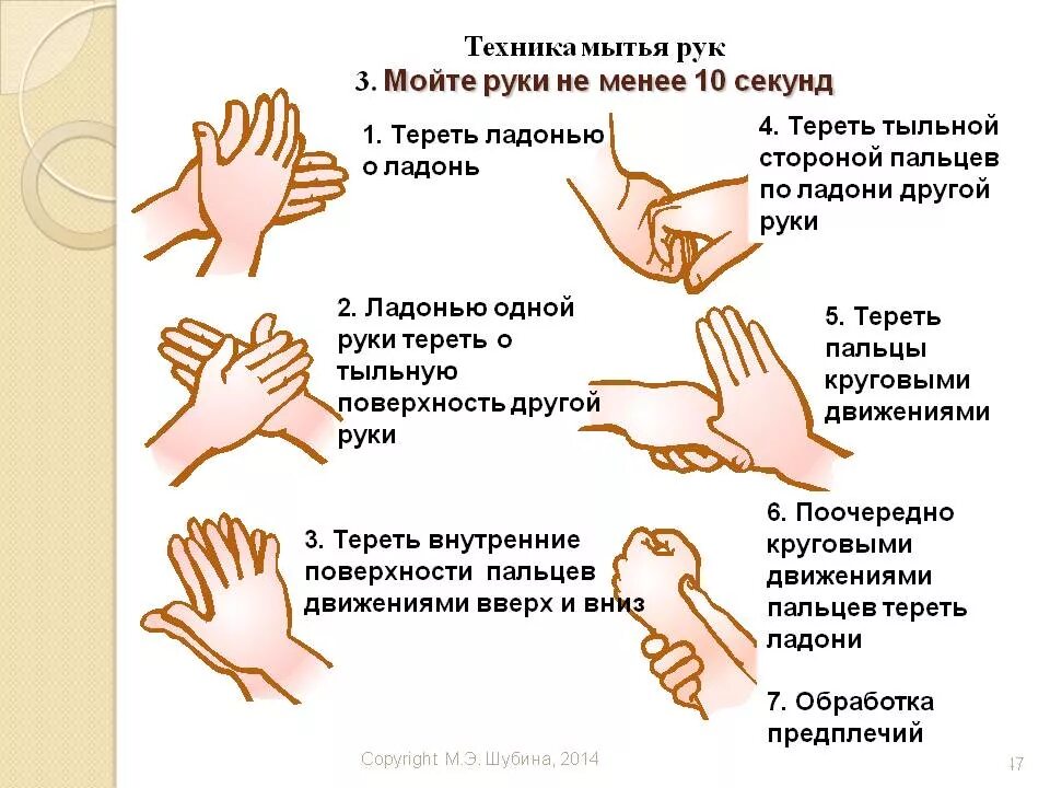 Гигиеническая обработка алгоритм по санпину 2023