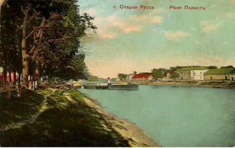 Кедр старая русса