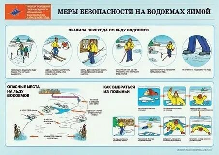 Безопасность в природной среде примеры