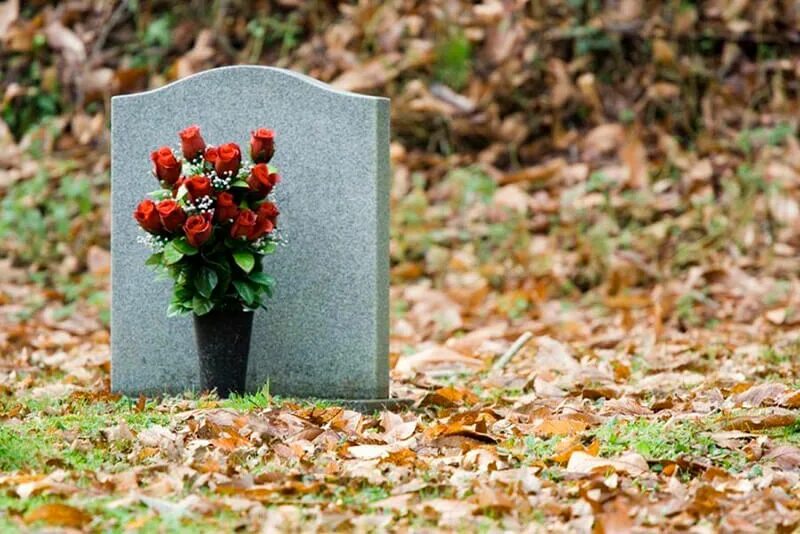 Украшение могилы цветами. Цветы на кладбище живые какие. Цветочки на могилу. Цветы для могилок многолетние. Кладбищенские цветы.