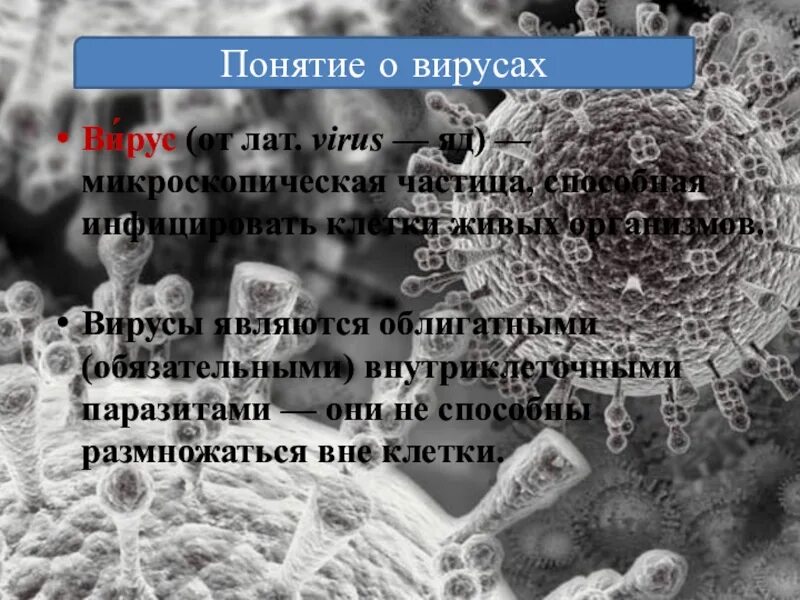 Понятие о вирусах. Вирусы могут размножаться вне клетки. Термины по вирусам. Вирусы вне клеток других организмов.