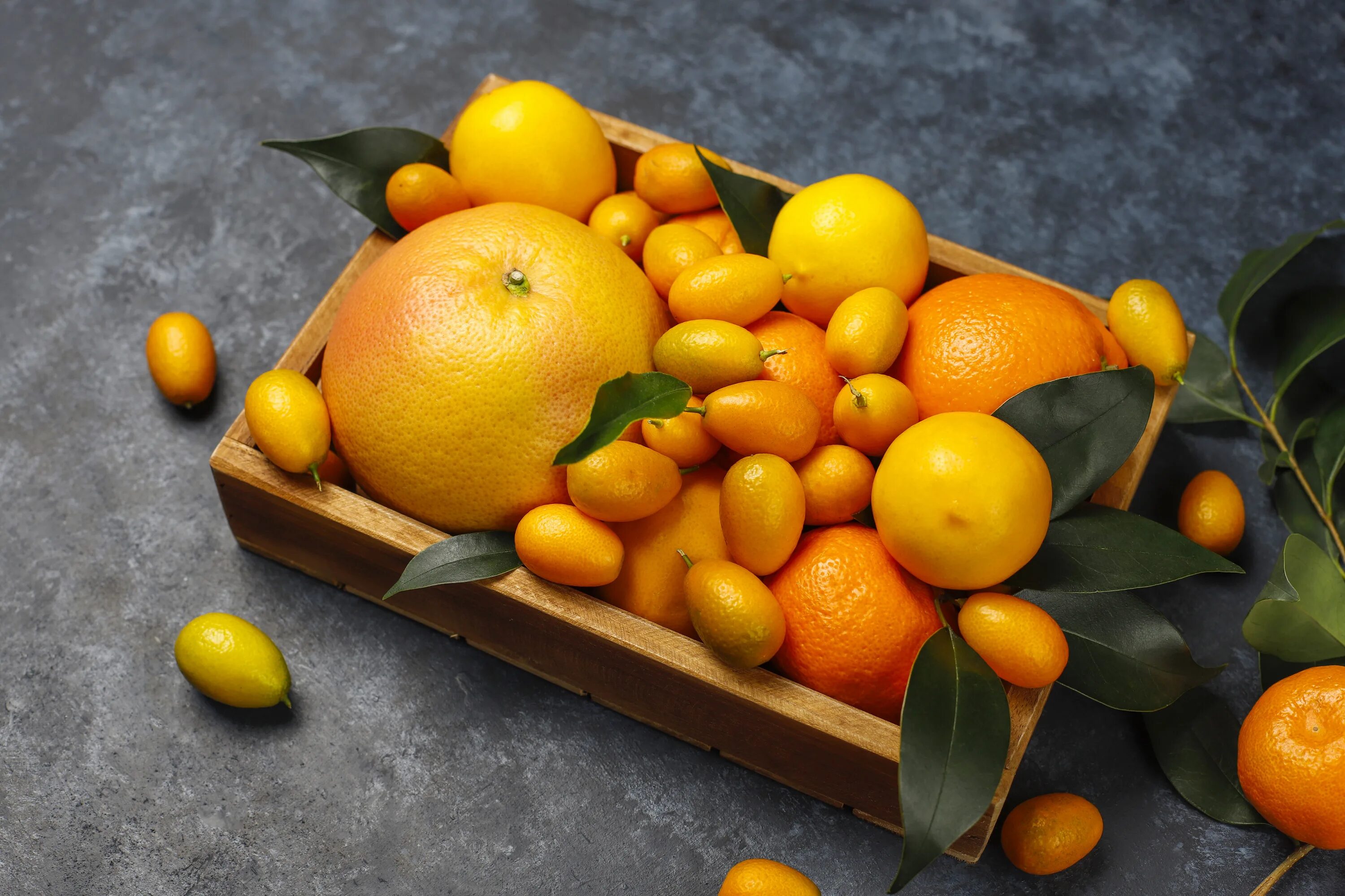 They like oranges. Цитрус кумкват. Кумкват цитрусовые. Кумкват лимон. Кумкват апельсин.