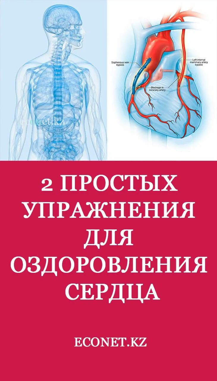 Сосуды оздоровление. Упражнения для сердца. Упражнения для сердца и сосудов. Упражнения для оздоровления сердца. Системы оздоровления организма.