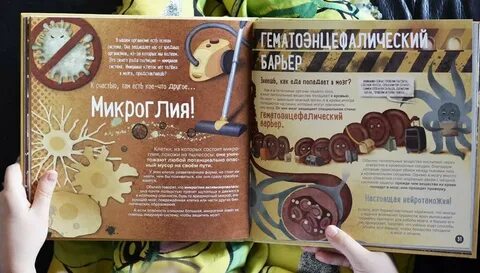 Каждый 38