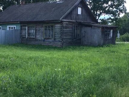 Погода в пленицино шаховской