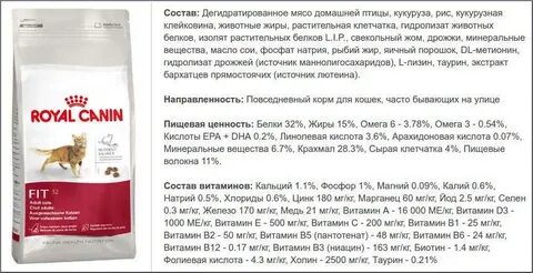 Когда котенку можно давать сухой корм