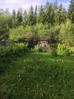 Д луговая