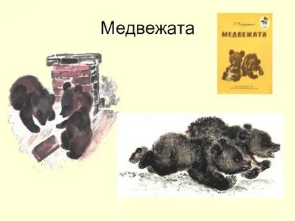 Произведение про медведя